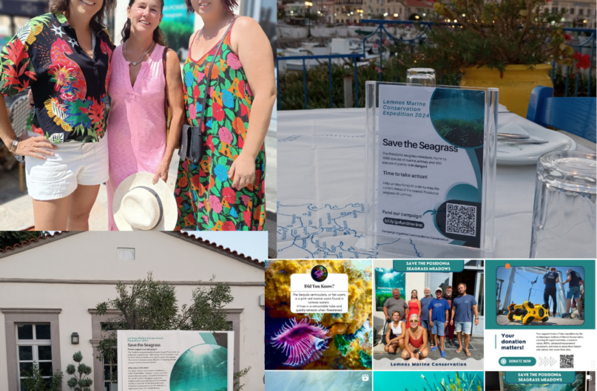 Web2Learn’s upcoming actions at the Lemnos Marine Conservation initiative