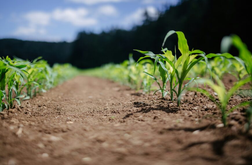 Our latest work on environmental citizen science and agri-food science