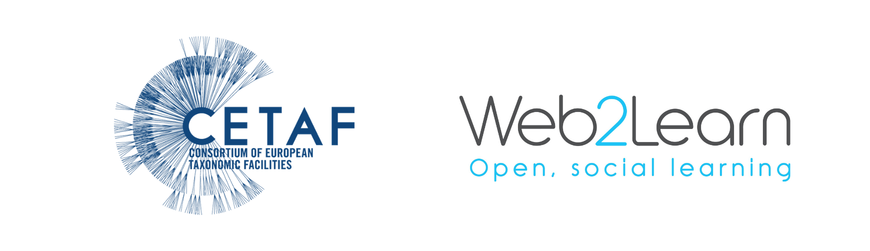 Web2Learn to support CETAF in the digital integration of EPIC-Bee resources!